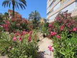 Apartamento Alicante La Mata - Costa Blanca- España