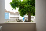 Appartement SMALL OASIS II MANILVA  - Estepona  - Costa del Sol - Espagne